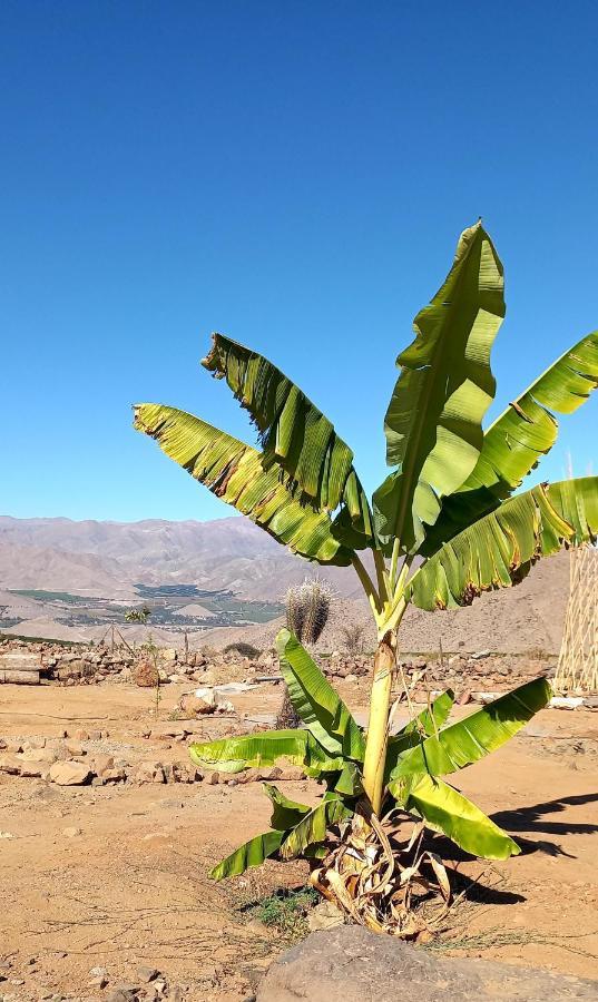Campo De Cielo Mamalluca Valle De Elqui Vicuña Exteriér fotografie