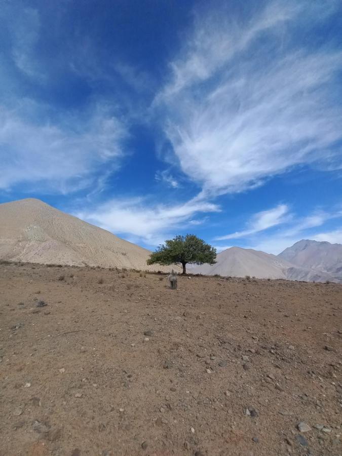 Campo De Cielo Mamalluca Valle De Elqui Vicuña Exteriér fotografie